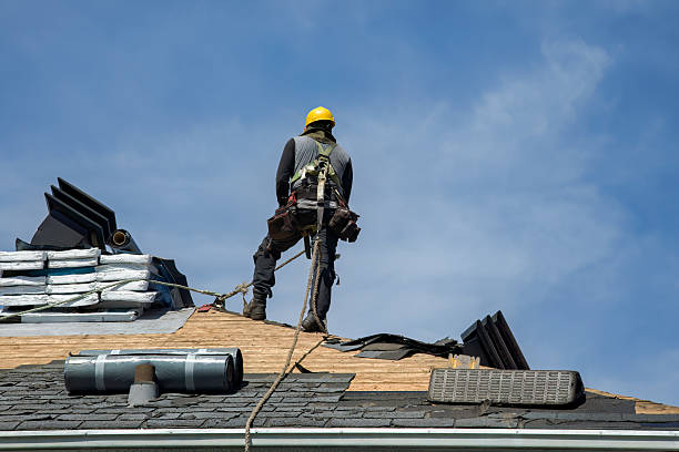 Professional Roof Repair technician working in Le Roy, NY